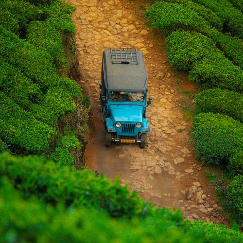 Feels like toy jeep