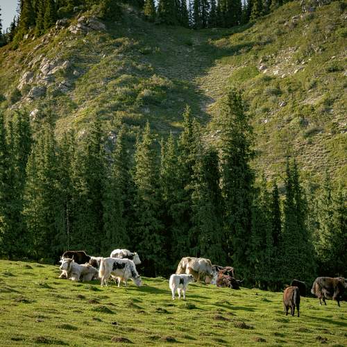 Photo #11503705