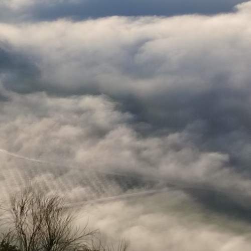 Photo #11504479