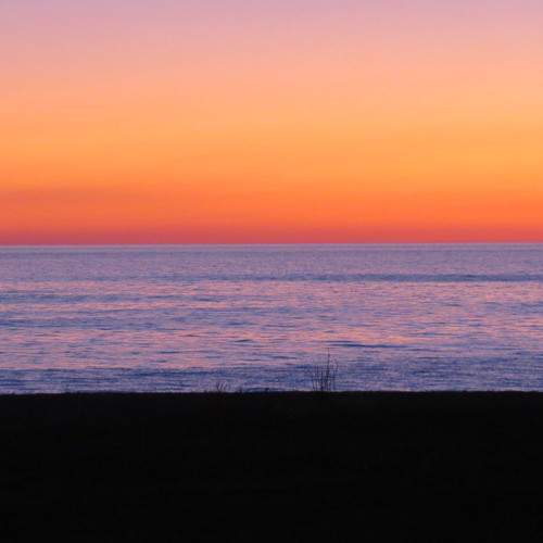 Photo #11504525