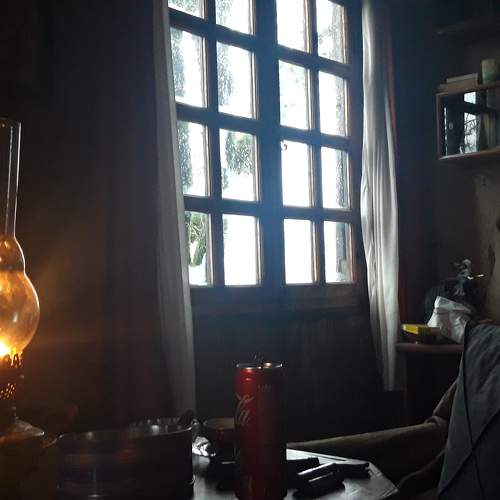 Photo #11504566