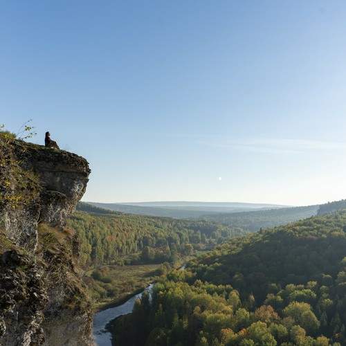 Photo #11504586