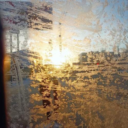 Photo #11504597