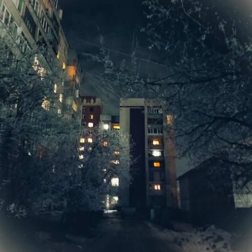 Photo #11504699