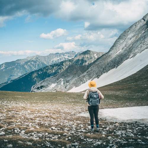 Photo #11504731
