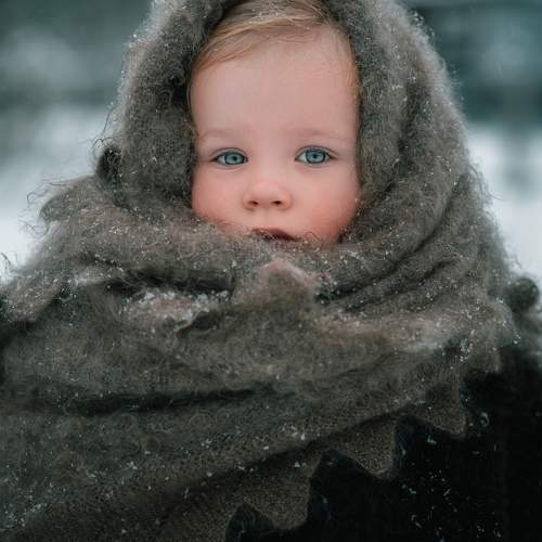 Photo #11504812