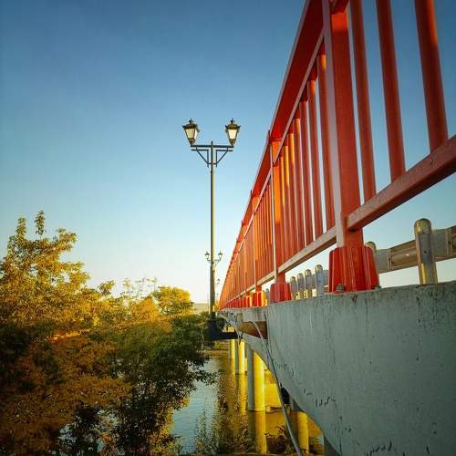 Photo #11504943