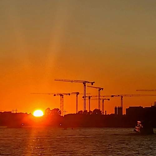 Photo #11504969