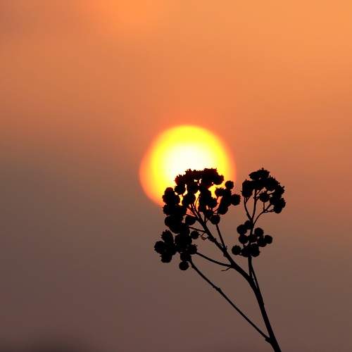 Photo #11505105
