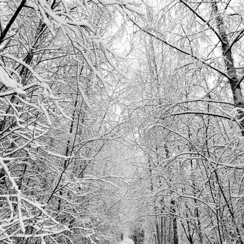 Photo #11505109