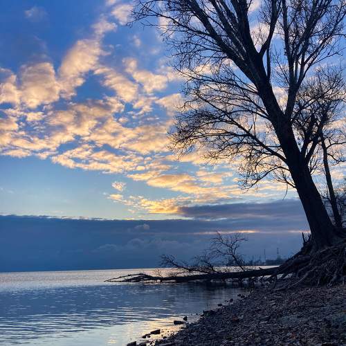 Photo #11505409