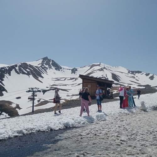 Photo #11505416