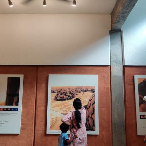 Photo #11505420