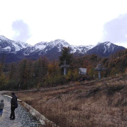 Photo #11505429
