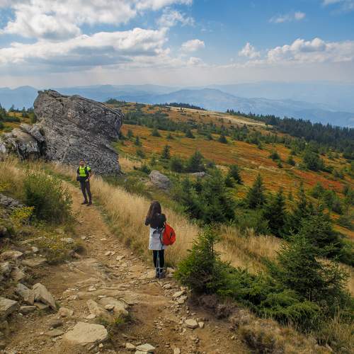 Photo #11505639