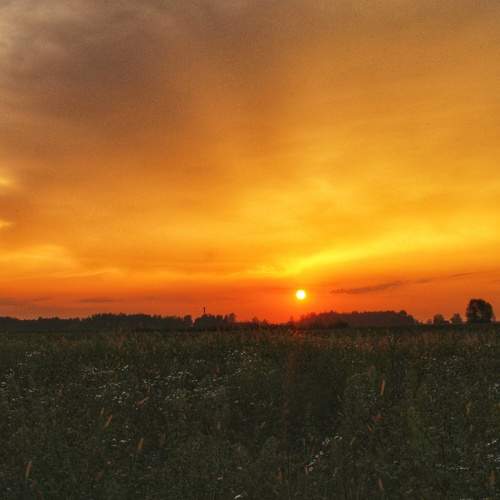 Photo #11505881