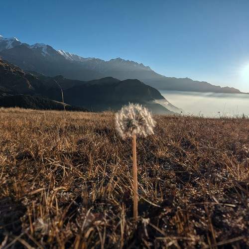 Photo #11506047