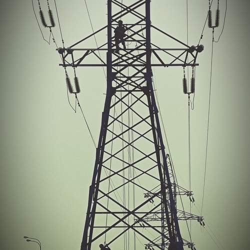 Photo #11506061