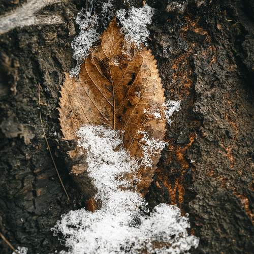 Photo #11506161