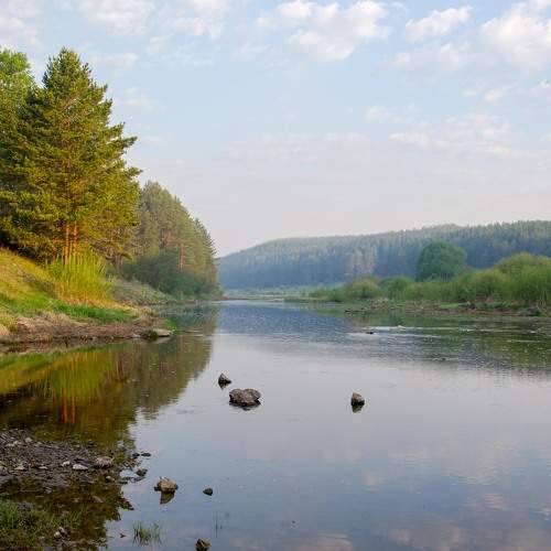 Photo #11506211