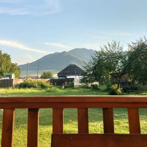 Photo #11506233