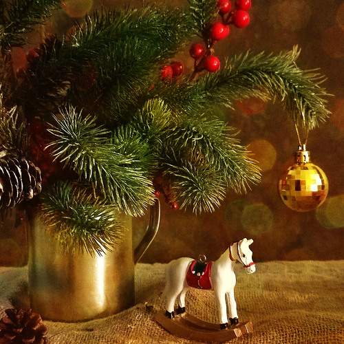 Photo #11506336