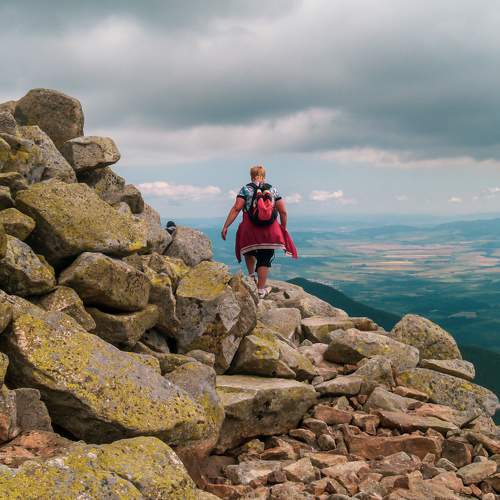 Photo #11506408