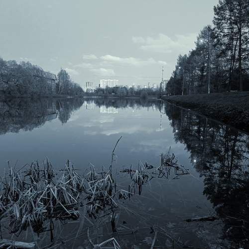 Photo #11507011