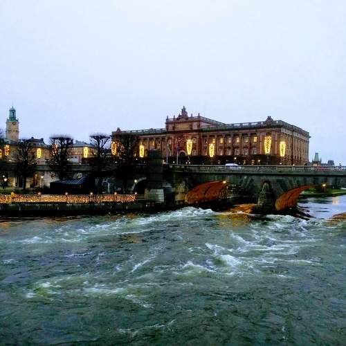 Photo #11507124