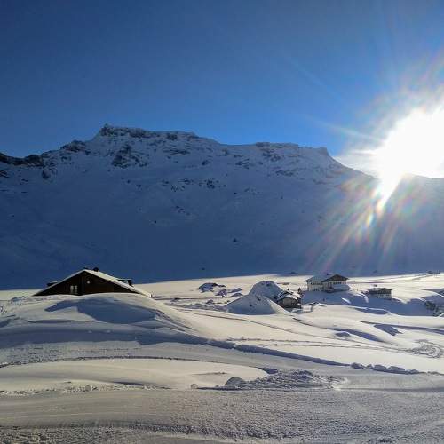 Photo #11507146