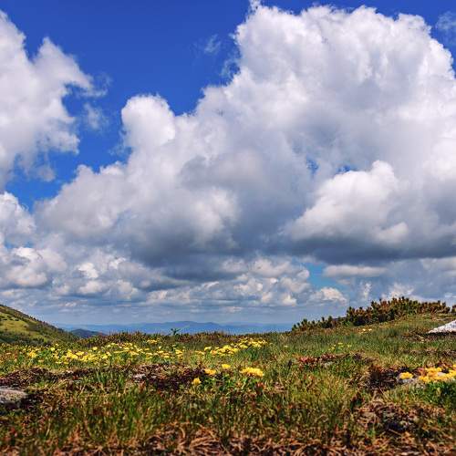 Photo #11507536