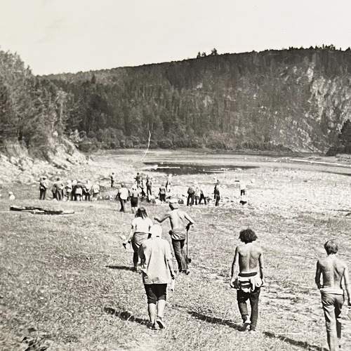 Photo #11507687