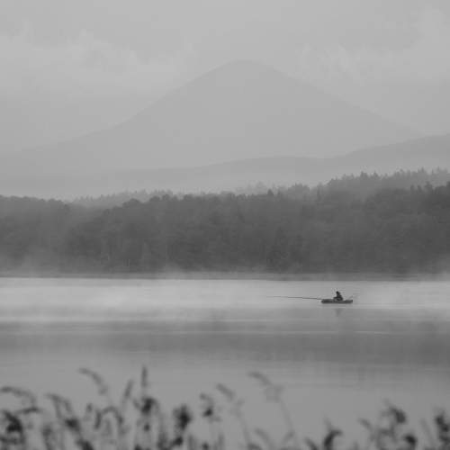 Photo #11508113
