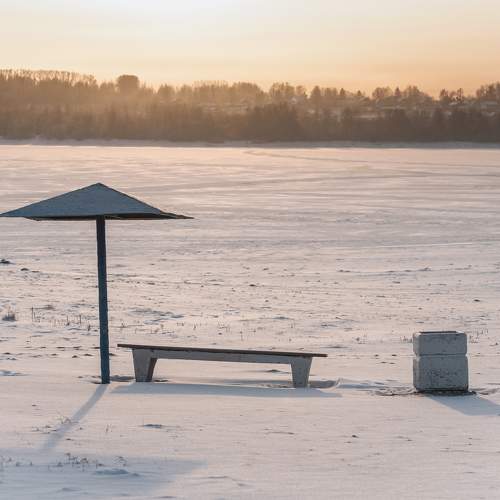 Photo #11508140