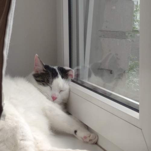Photo #11508339