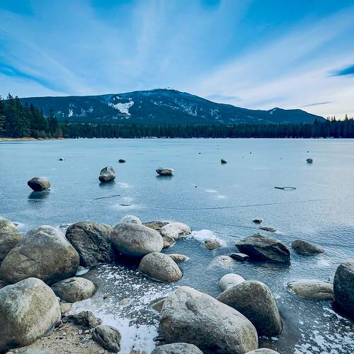 Photo #11508665