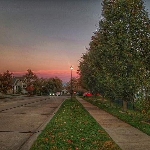 Photo #11508775