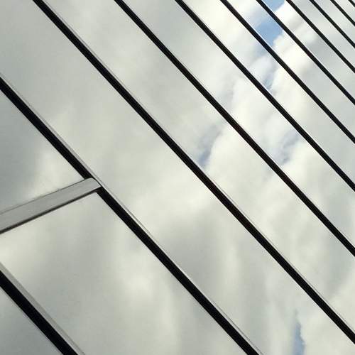 Photo #11508856