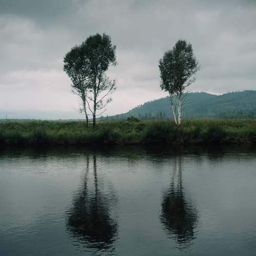 Photo #11508975
