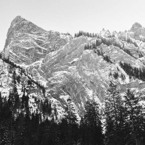 Photo #11509029