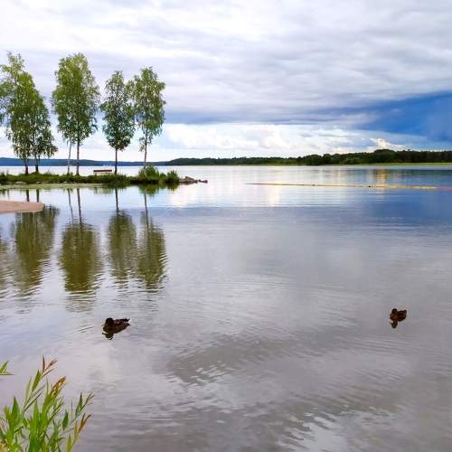 Photo #11509177