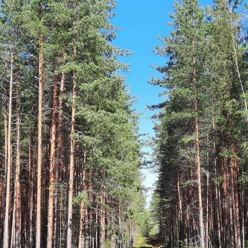 Photo #11509220