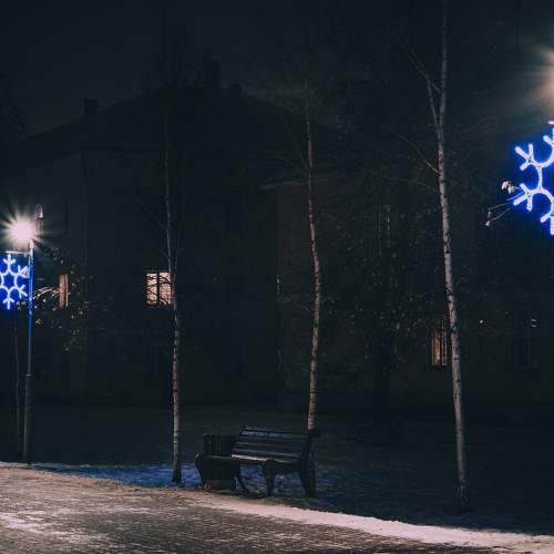 Photo #11509822