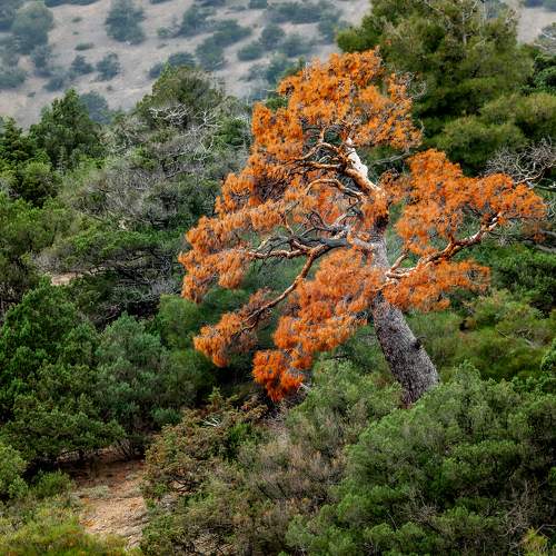 Photo #11509847