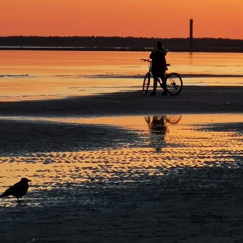 Photo #11510002