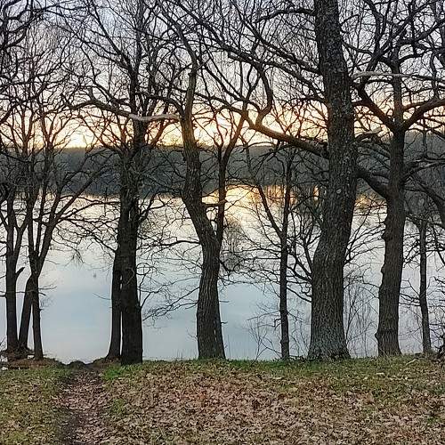 Photo #11510062