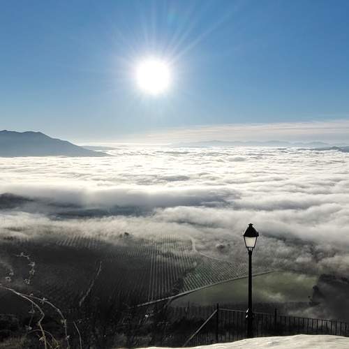 Photo #11510140