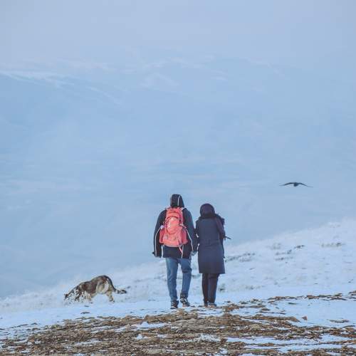 Photo #11510277