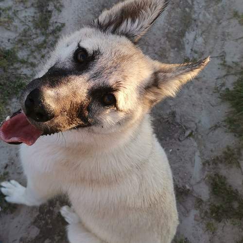 Photo #11510732