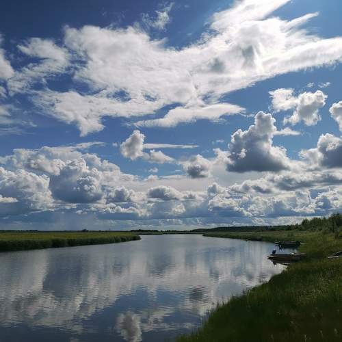 Photo #11510742
